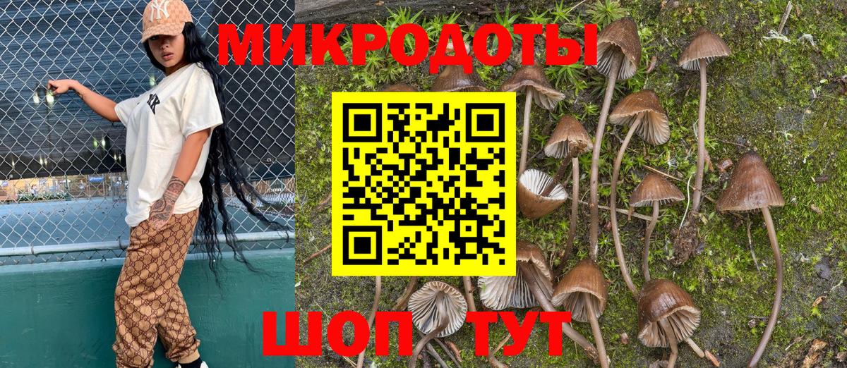 цены   Вход с VPN  Галлюциногенные грибы MAGIC MUSHROOMS  Горячий Ключ  Галлюциногенные грибы прущие грибы 